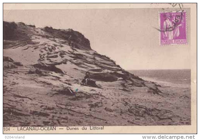 Dep 33 - Lacanau Ocean - Dunes Du Littoral  : Achat Immédiat - Autres & Non Classés