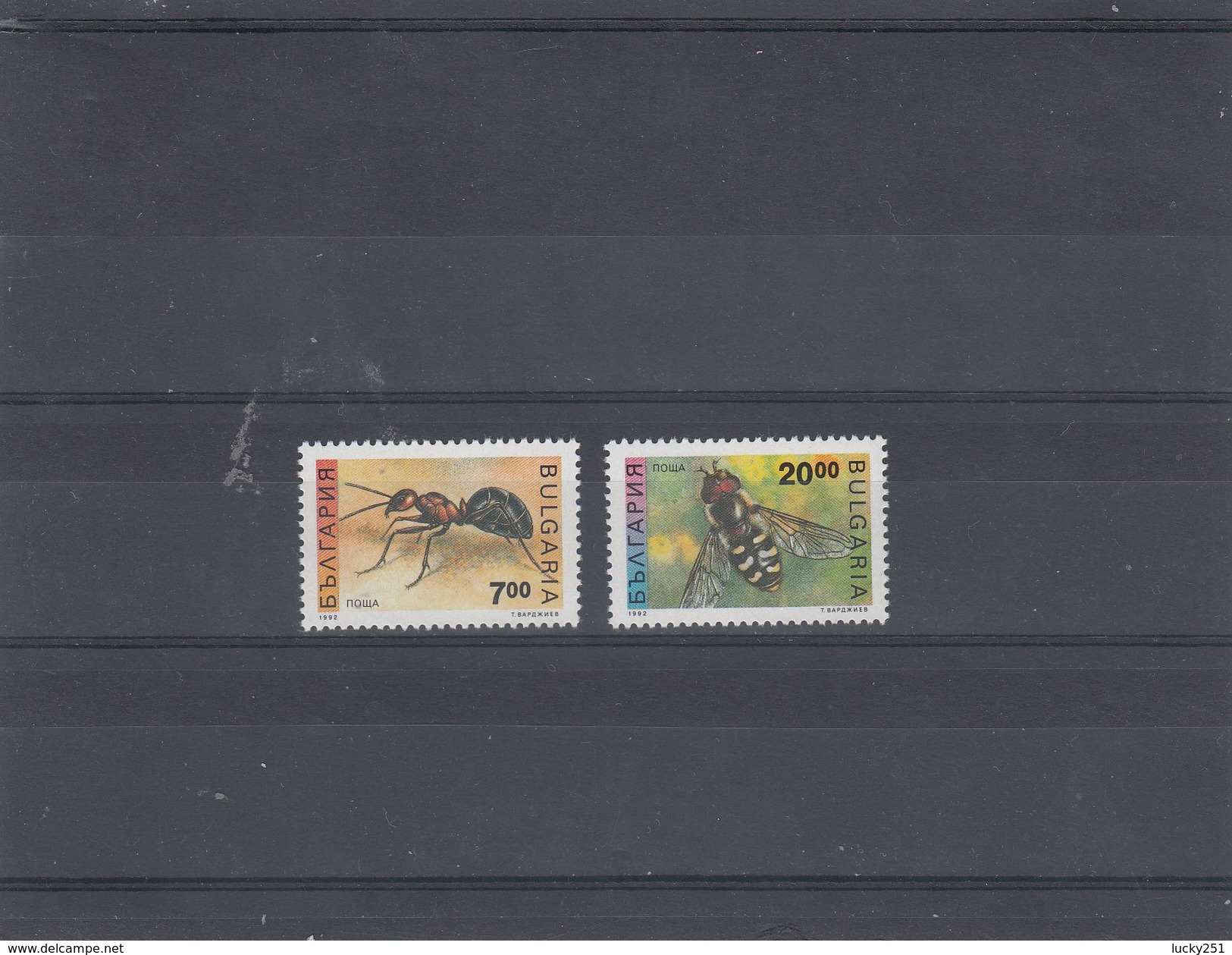 Bulgarie - Neufs** - Année 1992 - Insectes Divers - YT 3461/3462 - Nuevos