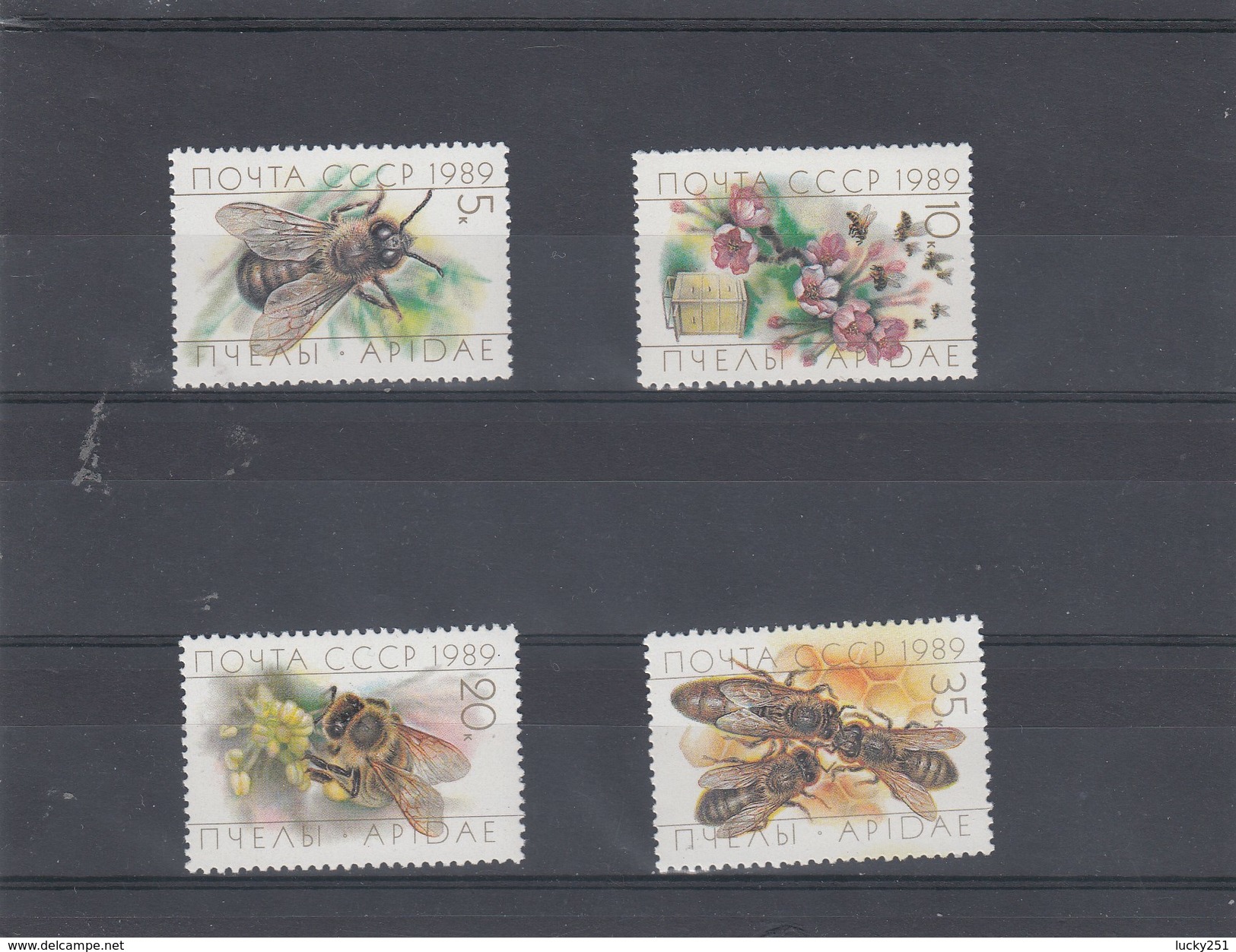 Russie - Neufs** - Année 1989 - Insectes Divers - YT 5627/5630 - Nuevos