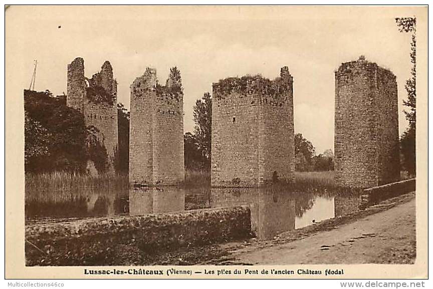 86 - 030217 - LUSSAC LES CHATEAUX - Les Piles Du Pont De L'ancien Château Féodal - Lussac Les Chateaux