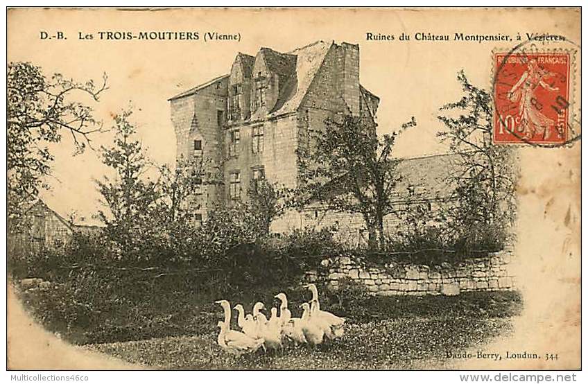 86 - 030217 - LES TROIS MOUTIERS - Ruines Du Château Montpensier à Vézières - Oie Cane Canard - Les Trois Moutiers