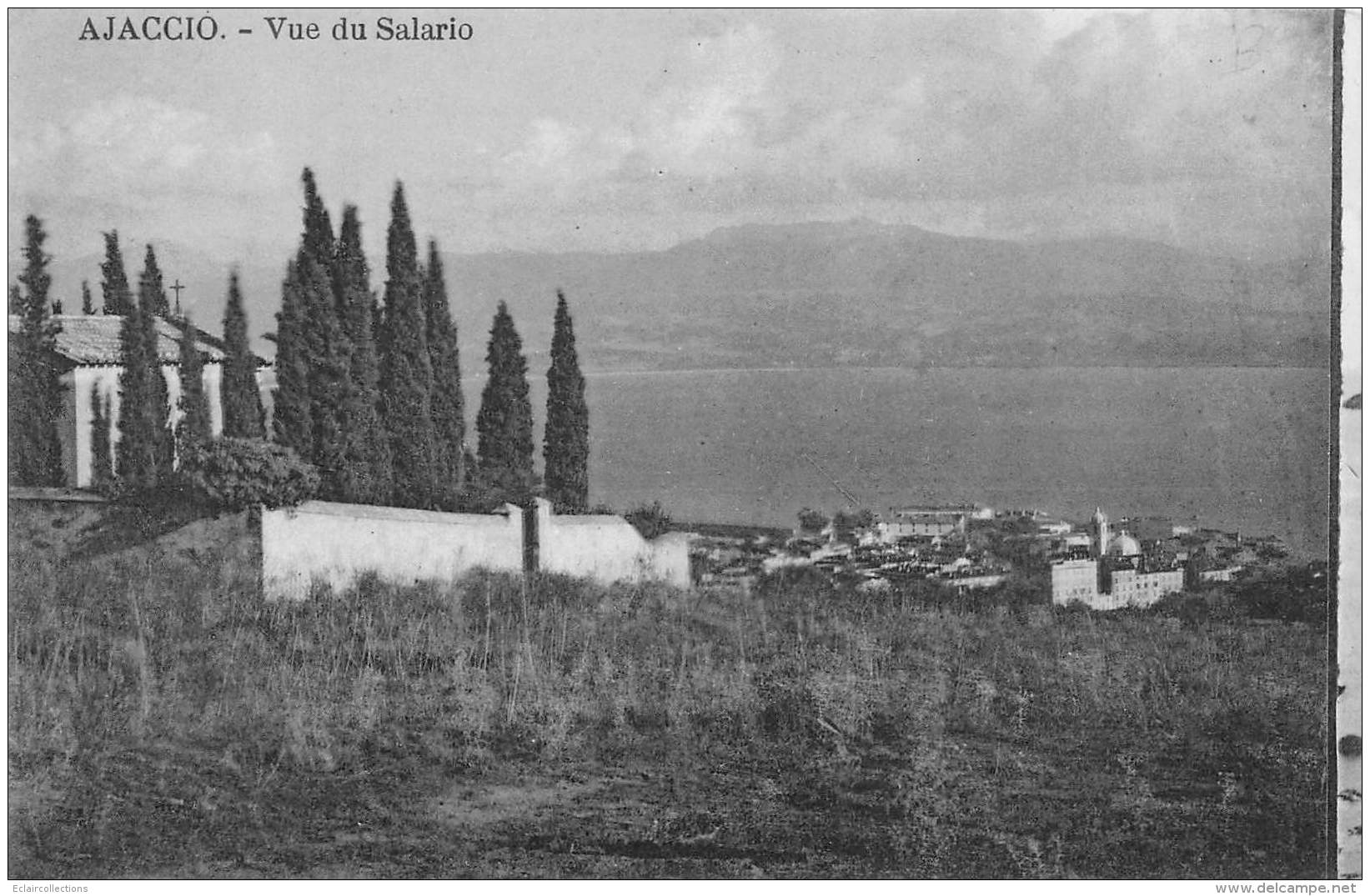 Ajaccio    20       Vue Du Salario        (voir Scan) - Ajaccio