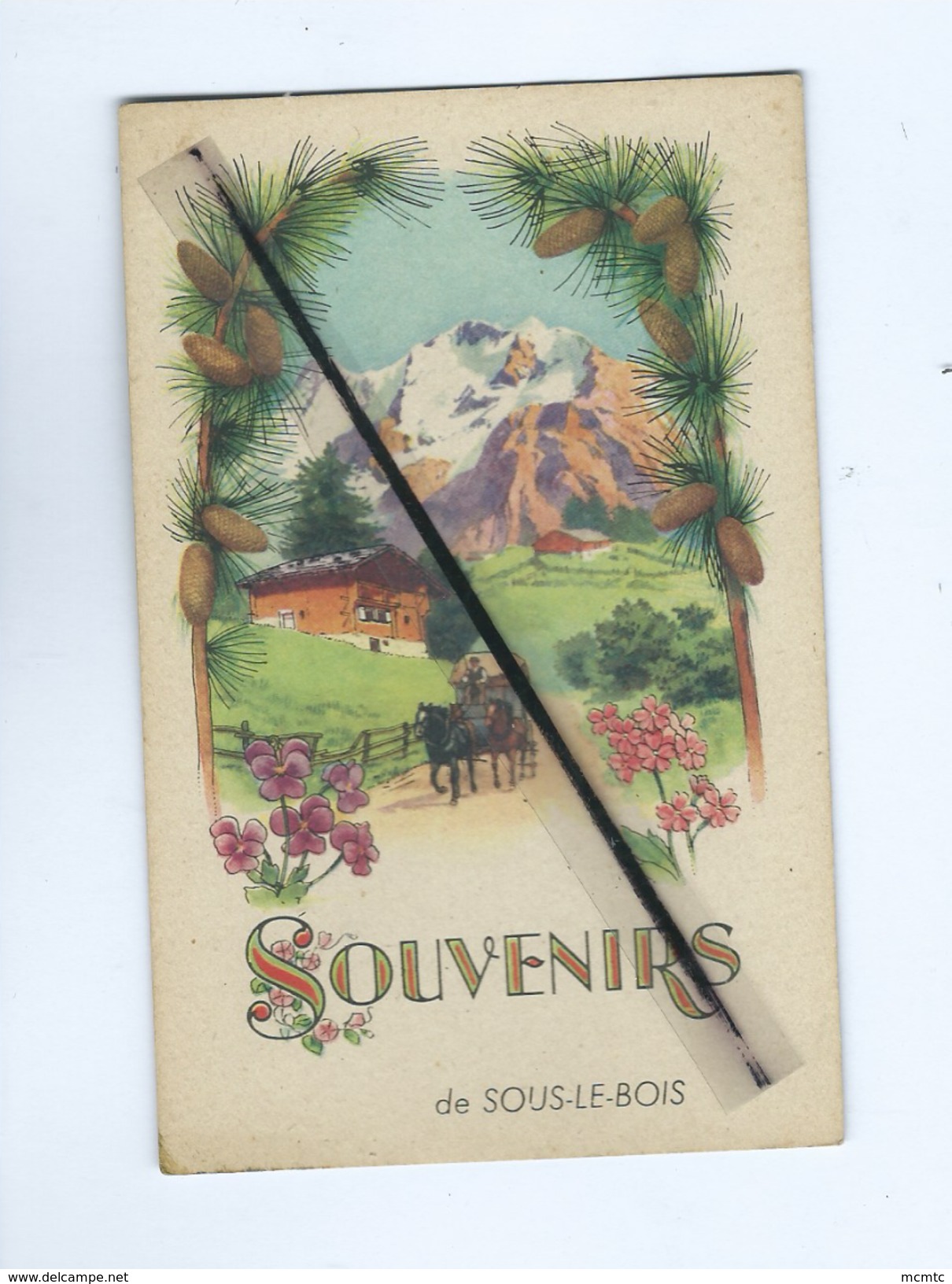 CPA  -Souvenirs De  Sous Le Bois - Other & Unclassified