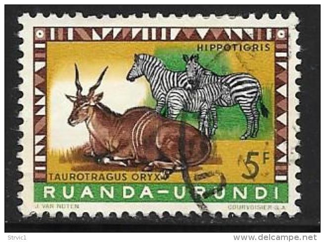 Ruanda-Urundi. Scott # 145 Used Animals, 1959 - Used Stamps