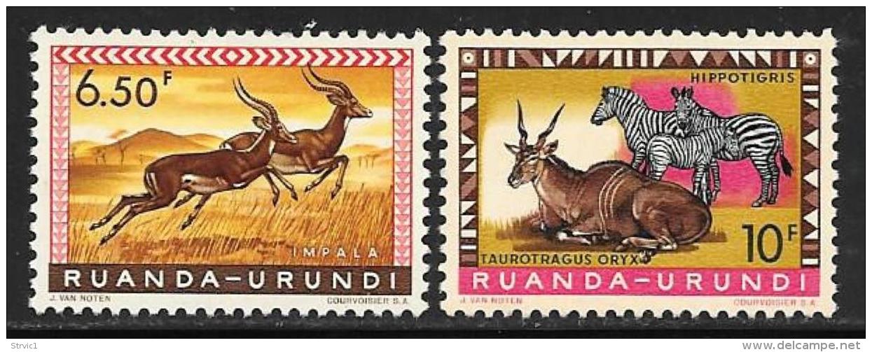 Ruanda-Urundi. Scott # 146, 148 MNH Animals, 1959 - Unused Stamps