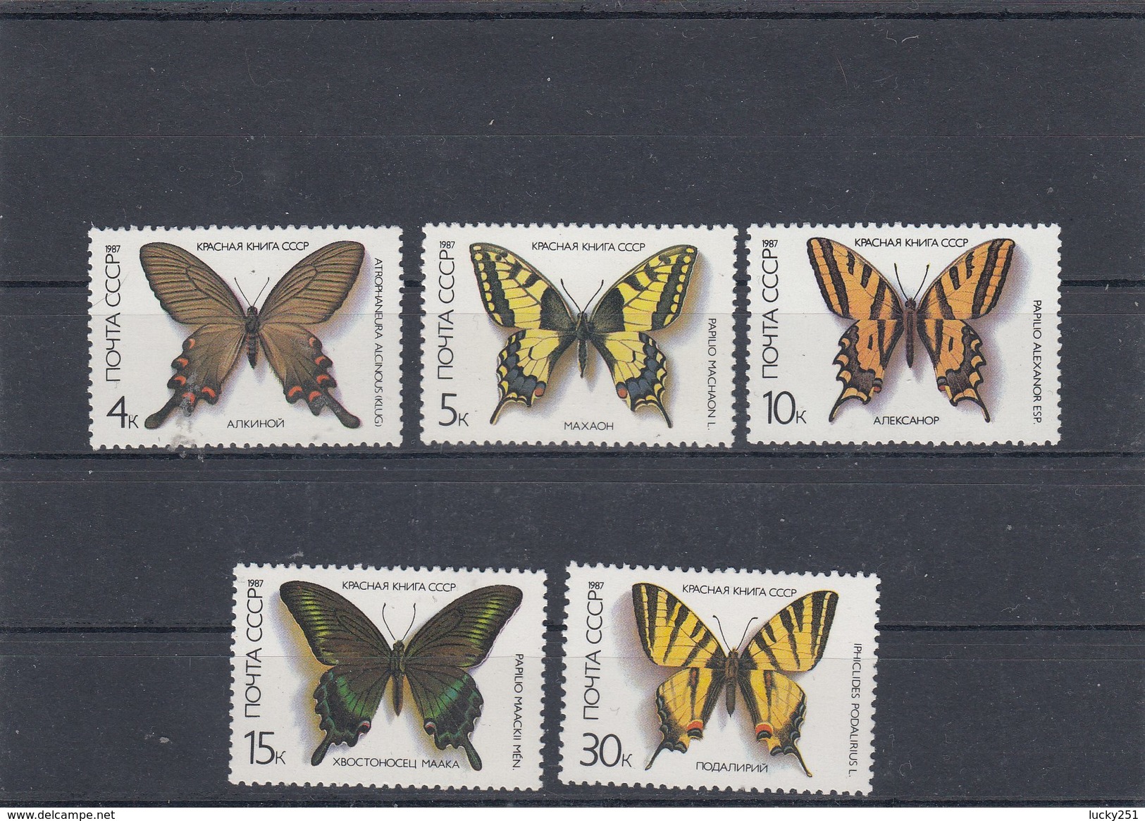 Russie - Neufs** - Année 1987 - Papillons Divers - YT 5376/5380 - Neufs