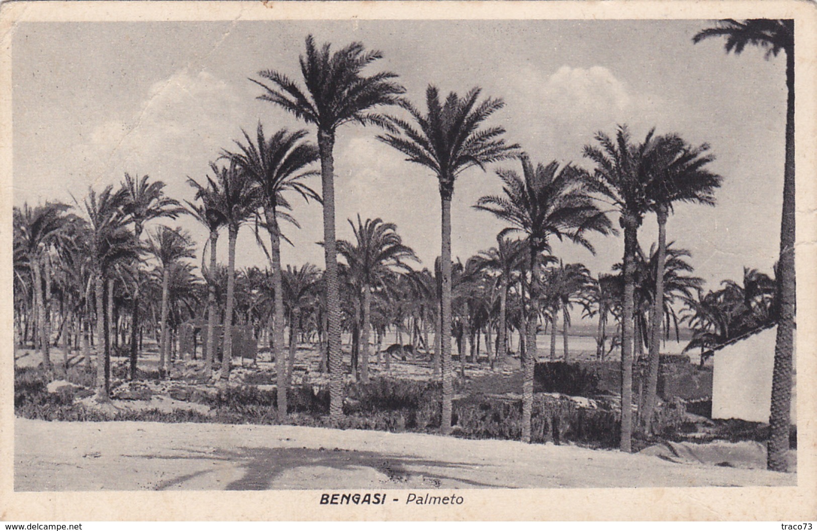 BENGASI - LIBIA  /   Palmeto _ Viaggiata 21.12.1940 - Libia