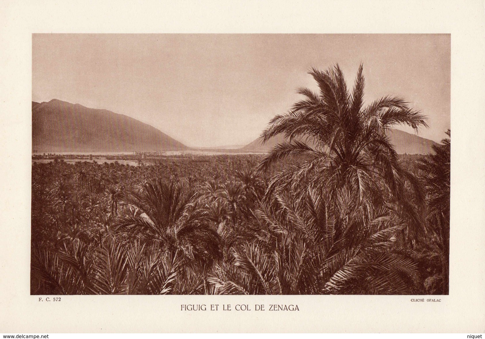 MAROC, FIGUIG ET LE COL DE ZENEGA, Planche Densité = 200g, Format 20 X 29 Cm, (Ofalac) - Géographie