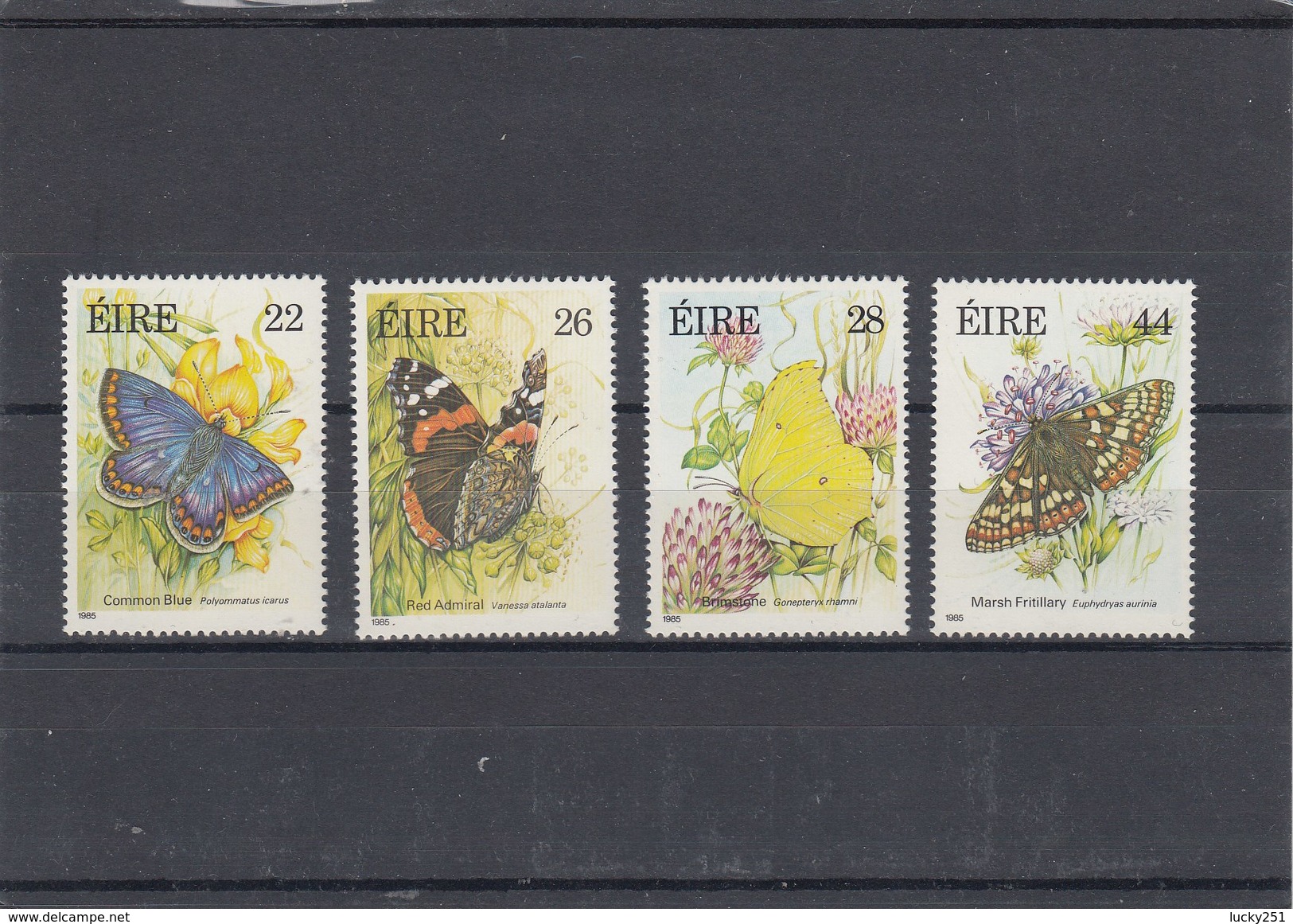 Irlande - Neufs** - Année 1985 - Papillons Divers - YT 562/565 - Ungebraucht