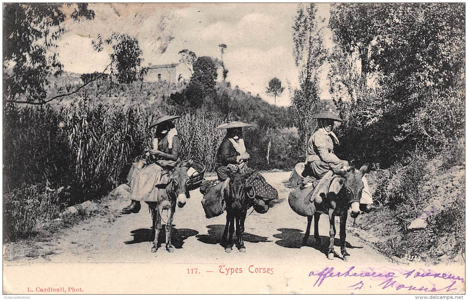 Corse      20      Divers  Type Corse.  Femme Dont Laitère; Montées Sur Leurs ânes    (voir Scan) - Other & Unclassified