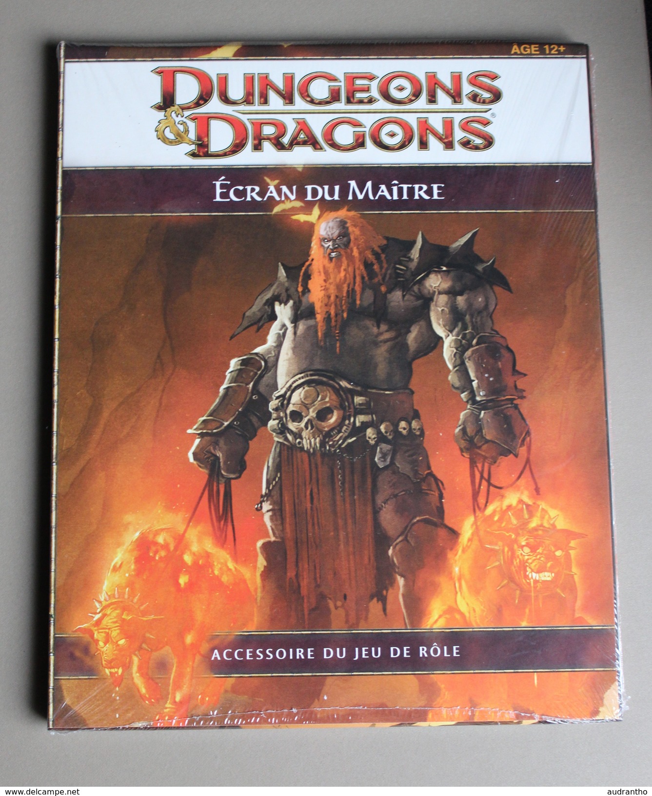 Livre Dungeons Et Dragons écran Du Maître Jeu De Rôle Neuf Donjons Et Dragons Neuf Sous Blister - Littérature & Notices