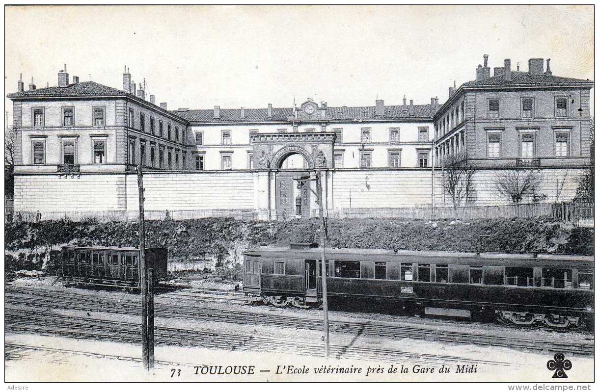 TOULOUSE - L'Ecole Veterinaire Pres De La Gare Du Midi, Gel.190? - Toulouse