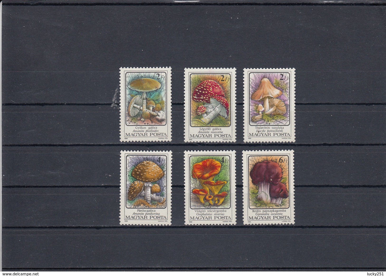 Hongrie - Champignons Divers - Neufs** - Année 1986 - Y.T. N° 3081/3086 - Neufs