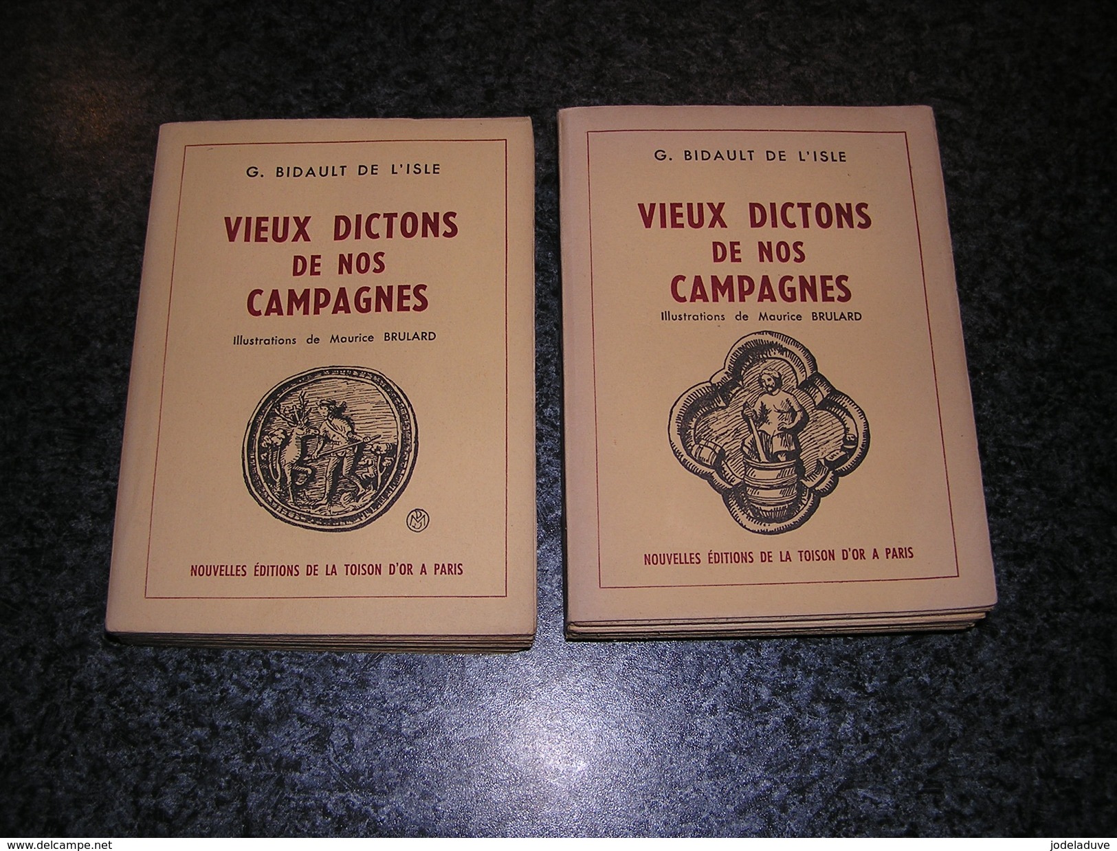 VIEUX DICTONS DE NOS CAMPAGNE 2 Tomes G Bidault De L' Isle Fêtes Saint Présages Astres Saisons Lune Vent Proverbes Météo - Autres & Non Classés