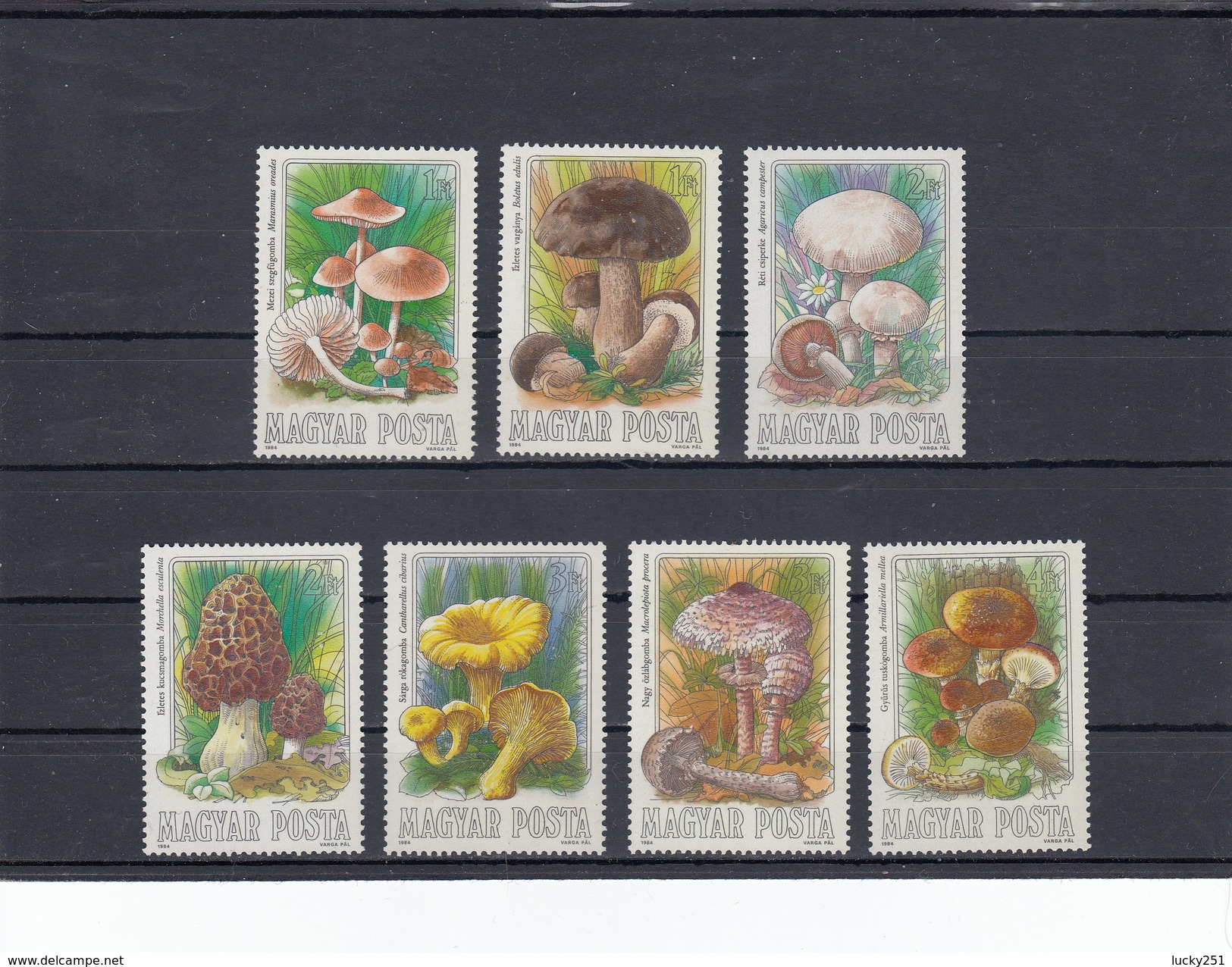 Hongrie - Champignons Divers - Neufs** - Année 1984 - Y.T. N° 2935/2941 - Unused Stamps