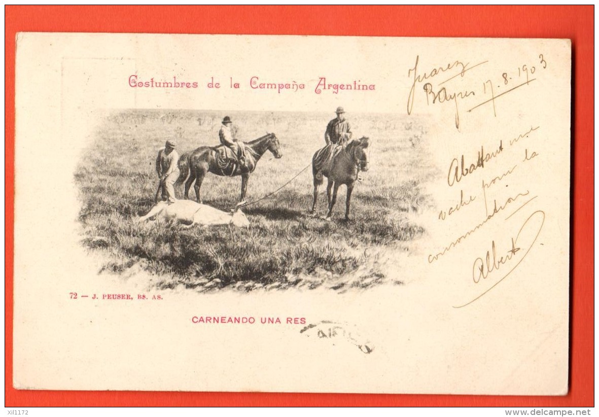 IAD-18  Costumbres De La Campana Argentina : Carneando Una Res. ANIME. USED In 1903 For France - Argentine
