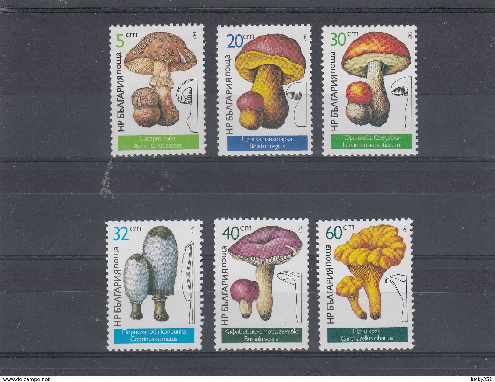 Bulgarie - Champignons Divers - Neufs** - Année 1987 - Y.T. N° 3071/3076 - Neufs