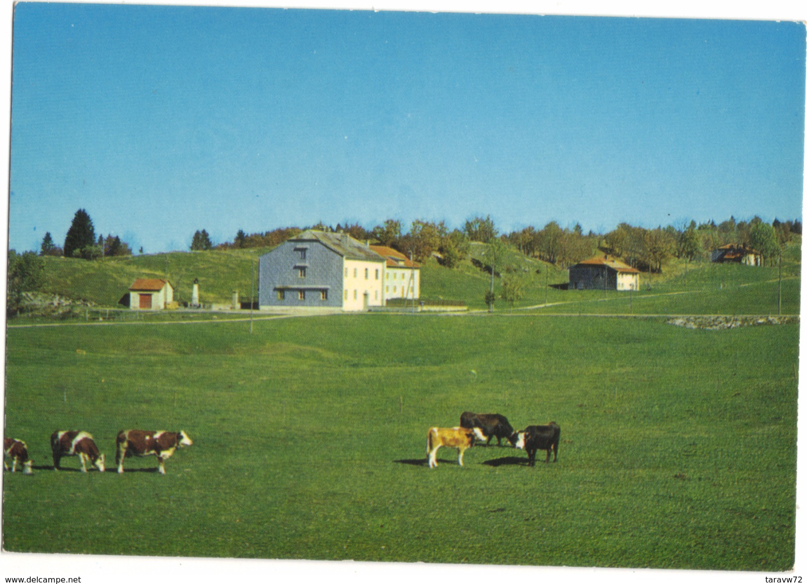 LES MOLUNES PAR SEPTMONCEL / PLATEAU DE LA VIE NEUVE - MAIRIE - CENTRE D ACCUEIL - Autres & Non Classés