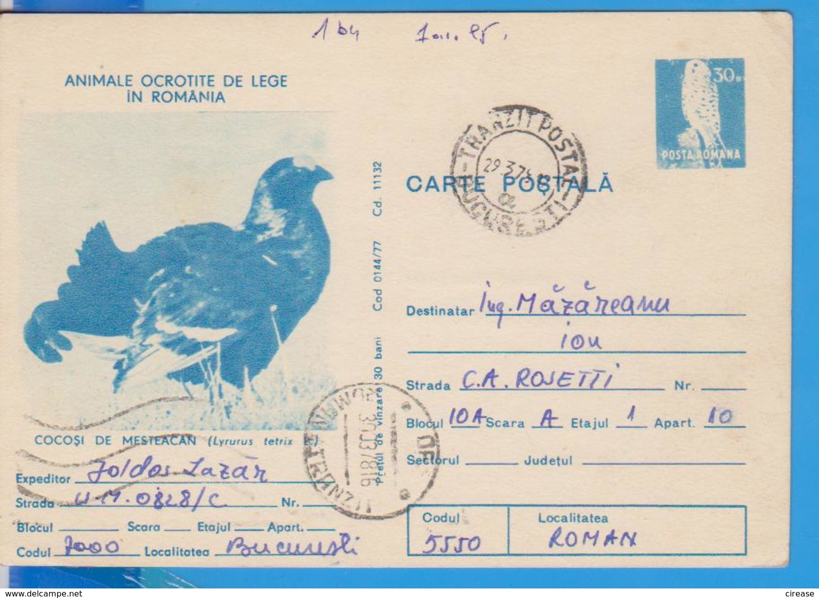 BIRD BIRDS  ROMANIA POSTAL STATIONERY - Cuco, Cuclillos