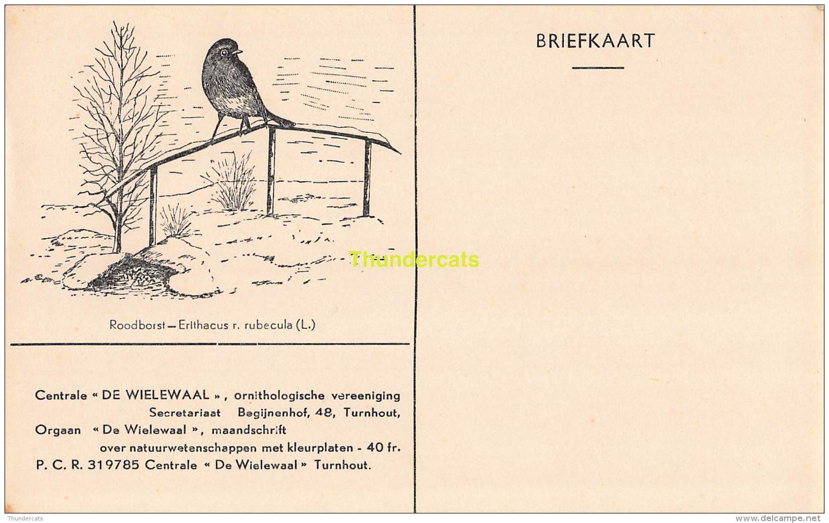 CPA  CENTRALE DE WIELEWAAL BEGIJNENHOF TURNHOUT BRIEFKAART VOGEL OISEAU ROODBORST - Turnhout