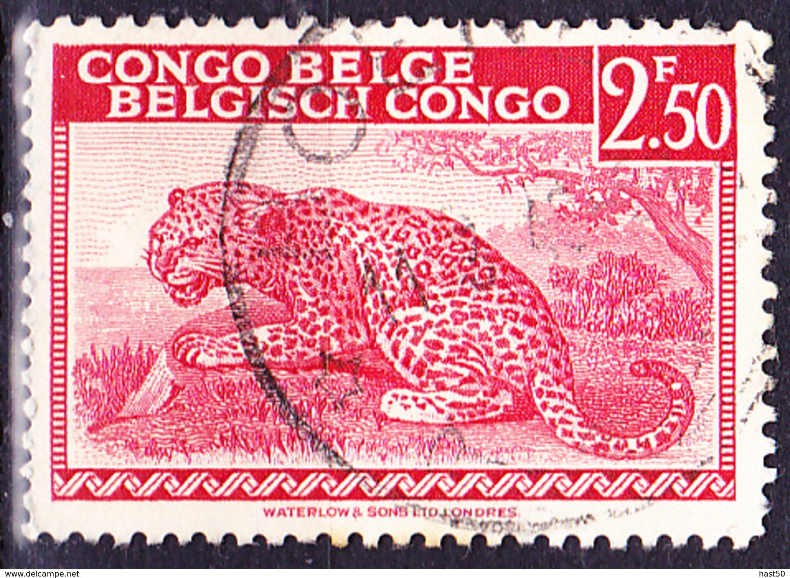 Belgisch-Congo Congo-Belge - Leopard (Panthera Pardus) (MiNr: 237) 1942 - Gest. Used Obl. - Gebraucht