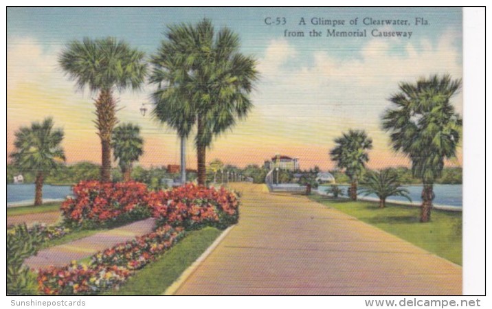 Florida Clearwater Glimpse Of Clearwater From Memorial Causeway 1959 Curteich - Clearwater