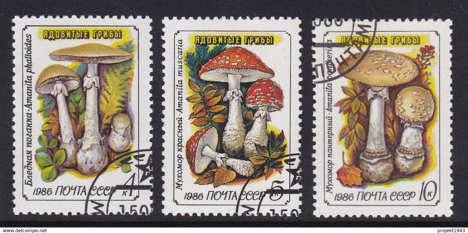 UdSSR 1986, Mi-Nr. 5603#5605, Giftige Pilze, Gestempelt, Siehe Scan - Pilze