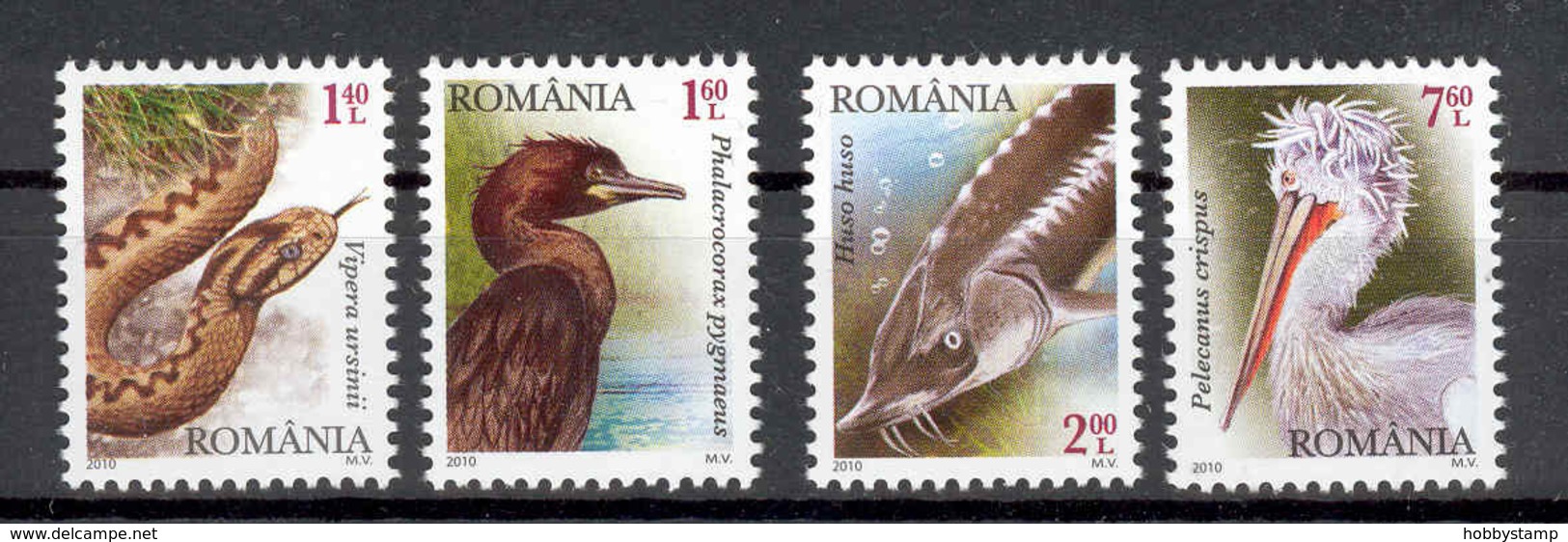 Romania 2010 Protected Fauna Of The Danube River Birds Pelican Fish Snake 4v** MNH - Unused Stamps