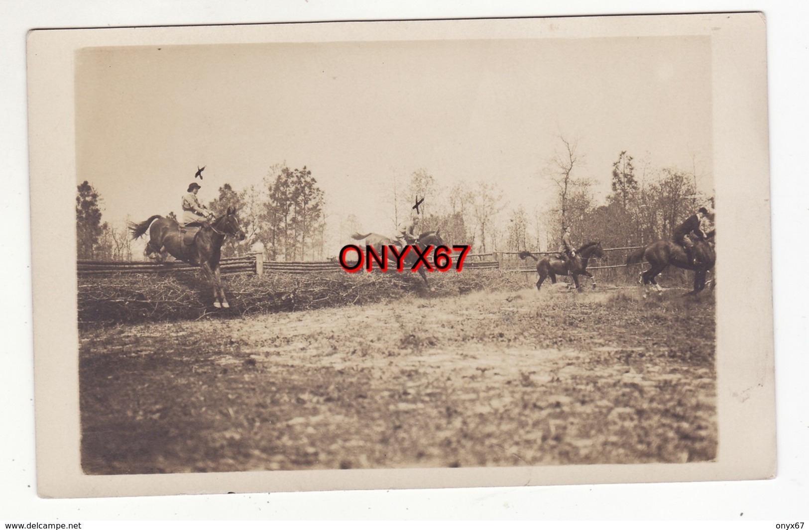 Carte Postale Photo CAROLINE DU SUD (Etats-Unis-United States) Equitation Hippisme Chevaux Cheval Sport - Hippisme