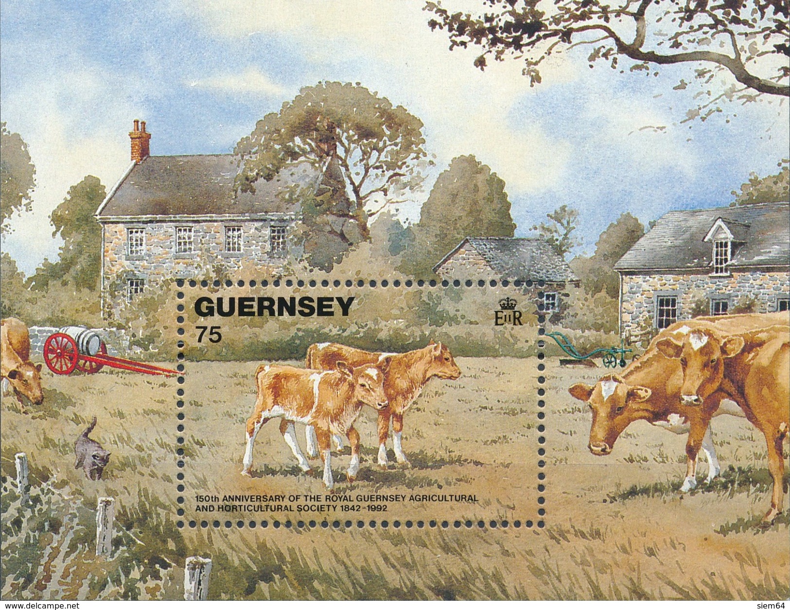 Guernsey Vee - Boerderij