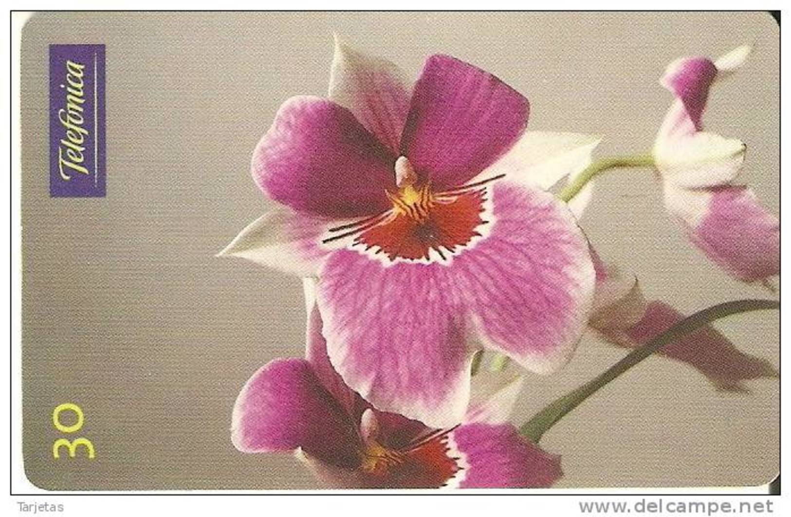 TARJETA DE BRASIL DE UNA ORQUIDEA   (FLOR-FLOWER-FLORES) - Flores