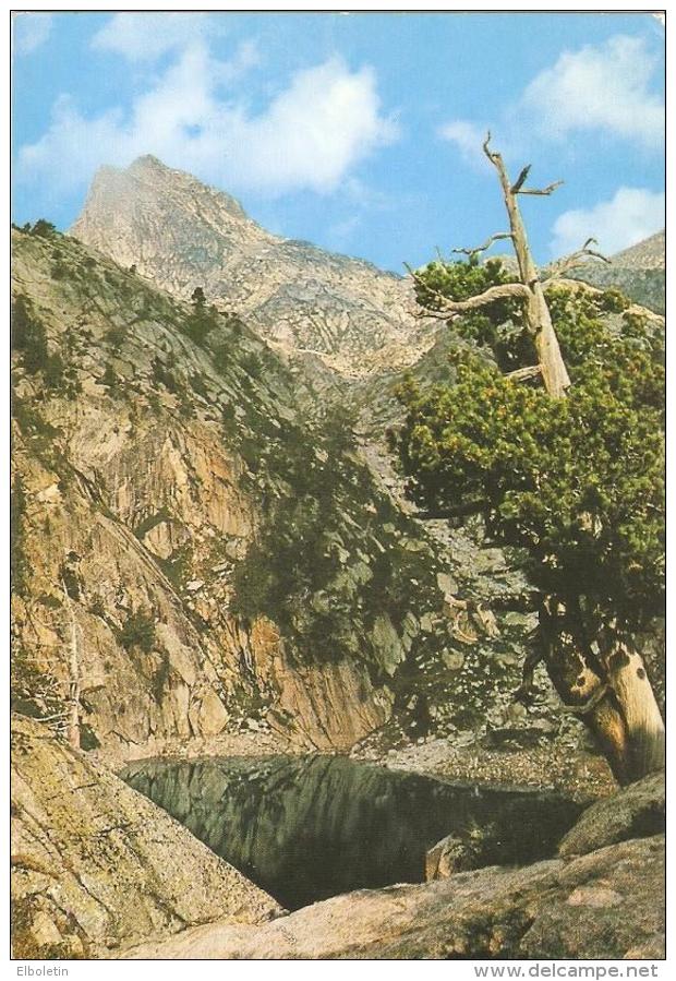 Postal 040852 : Pirineos De Lerida. El Pallars. Valle De Espot. Estany Trullo - Non Classés