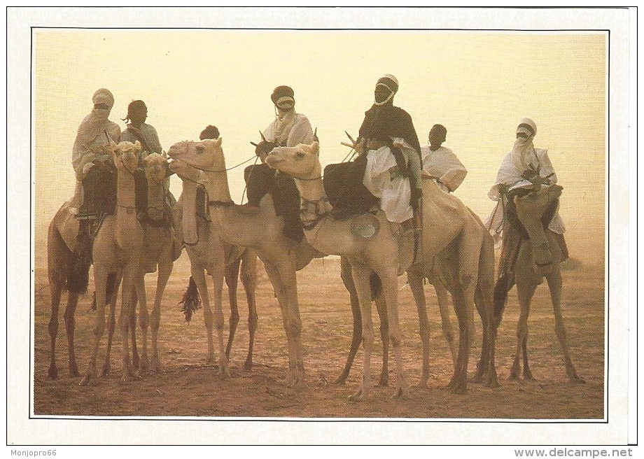 Carte Façon CPM Avec Légende Au Dos   Teguidda N Tessoumt   La Cure Salée   Niger - Other & Unclassified