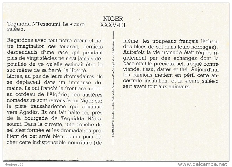 Carte Façon CPM Avec Légende Au Dos   Teguidda N Tessoumt   La Cure Salée   Niger - Other & Unclassified