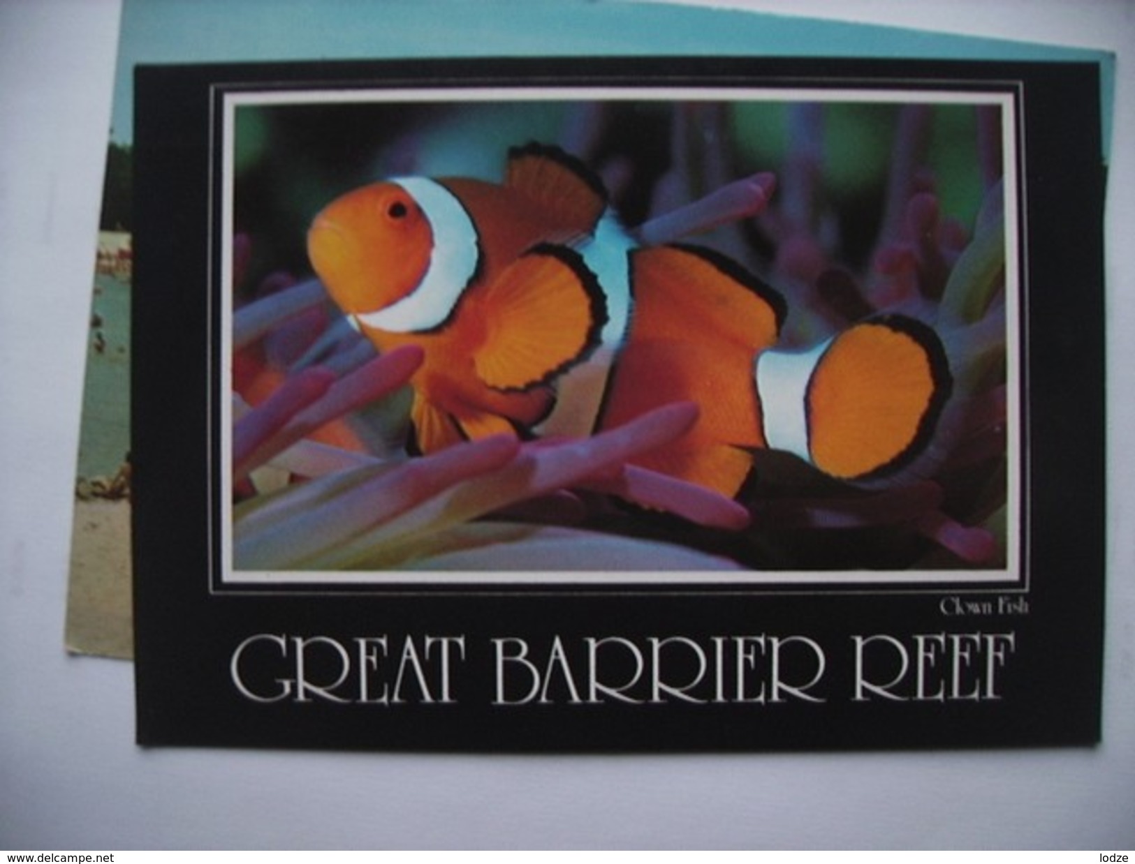 Australië Australia Great Barrier Reef N Q Nice Fish - Andere & Zonder Classificatie