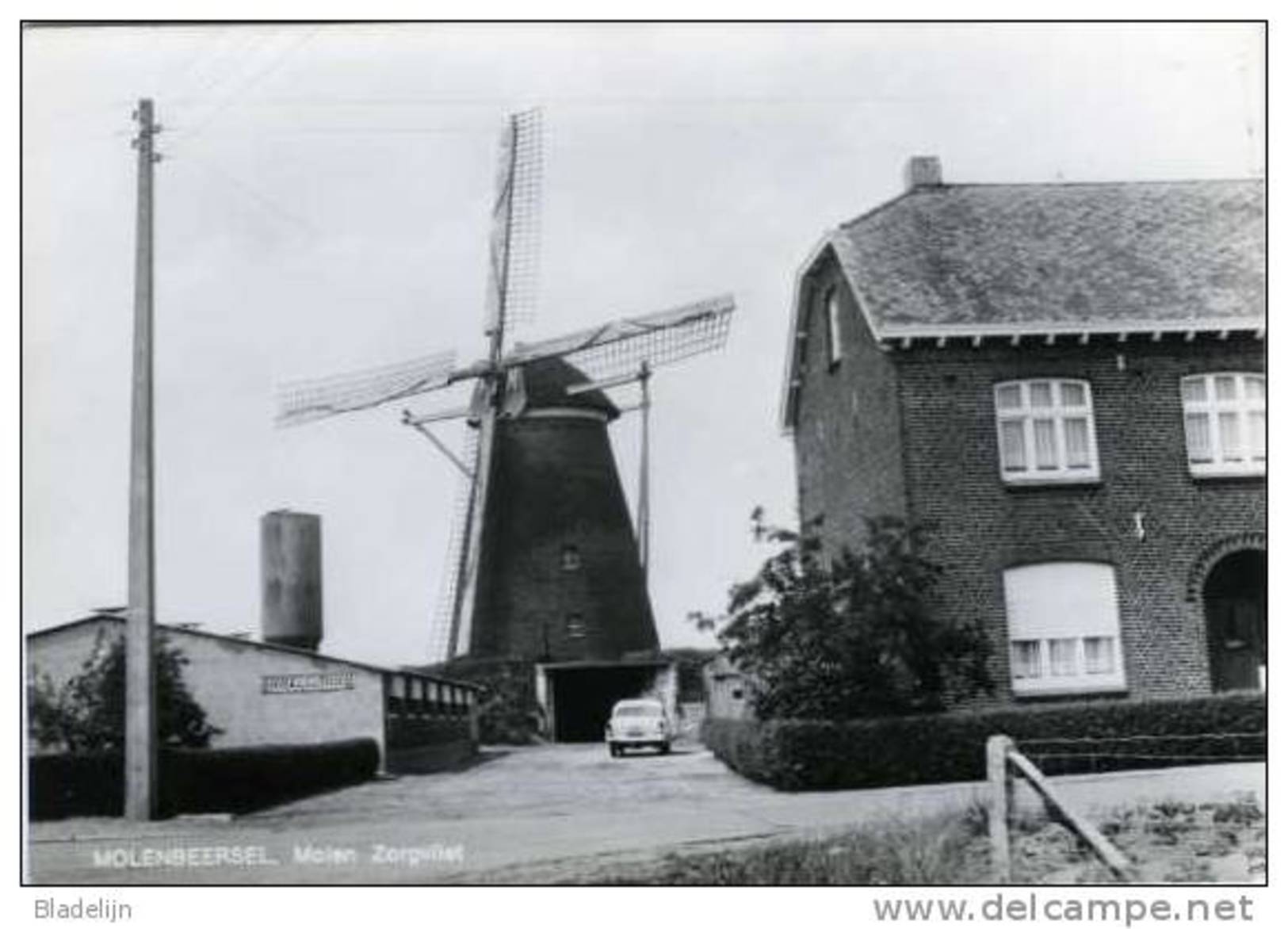 MOLENBEERSEL Bij Kinrooi (Limburg) - Molen/moulin - Oudere Zwart-wit Kaart Van Molen Zorgvliet (1981) - Kinrooi