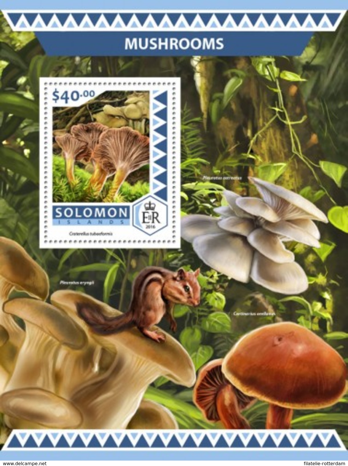 Solomoneilanden / Solomon Islands - Postfris / MNH - Sheet Paddenstoelen 2016 - Solomoneilanden (1978-...)