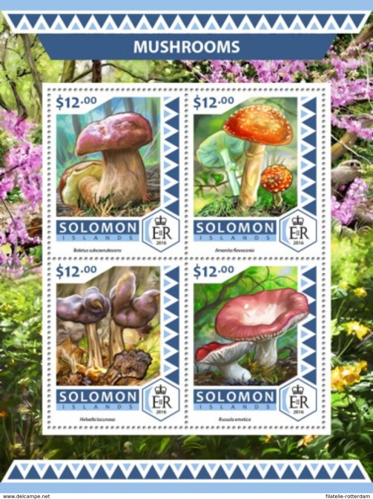 Solomoneilanden / Solomon Islands - Postfris / MNH - Sheet Paddenstoelen 2016 - Islas Salomón (1978-...)