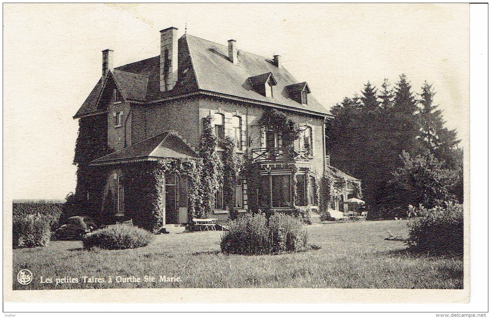 Les Petites Taires (tailles) A Ourthe Sainte Marie  Edit. Pinson Libramont - Libramont-Chevigny