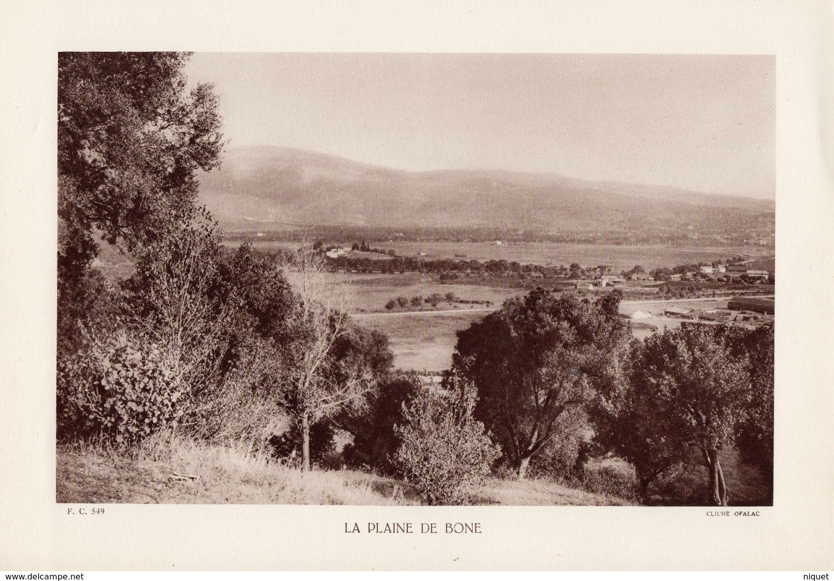 ALGERIE, LA PLAINE DE BONE, Planche Densité = 200g, Format 20 X 29 Cm, (OFALAC) - Géographie