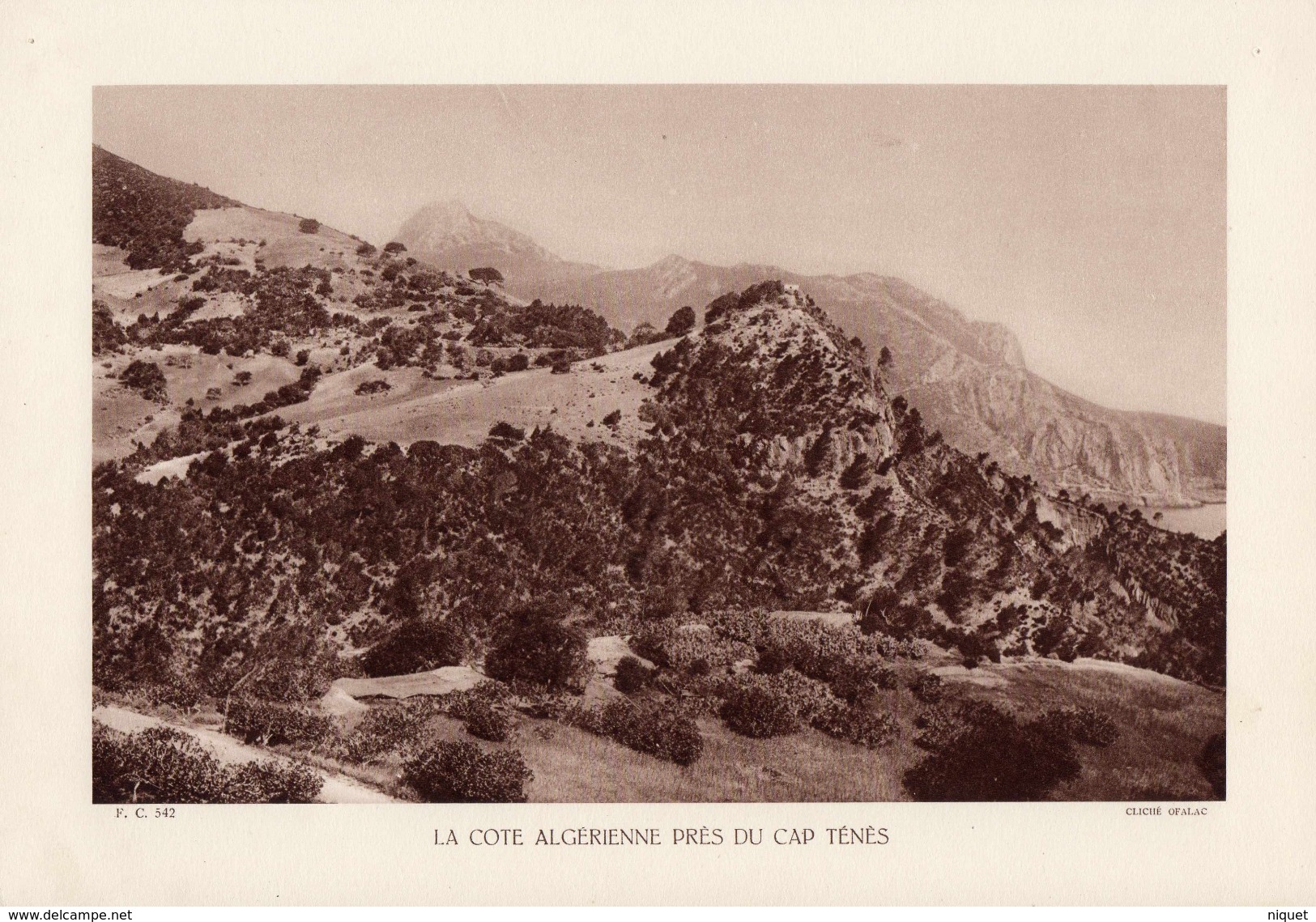 LA COTE ALGERIENNE PRES DU CAP TENES, Planche Densité = 200g, Format 20 X 29 Cm, (OFALAC) - Géographie