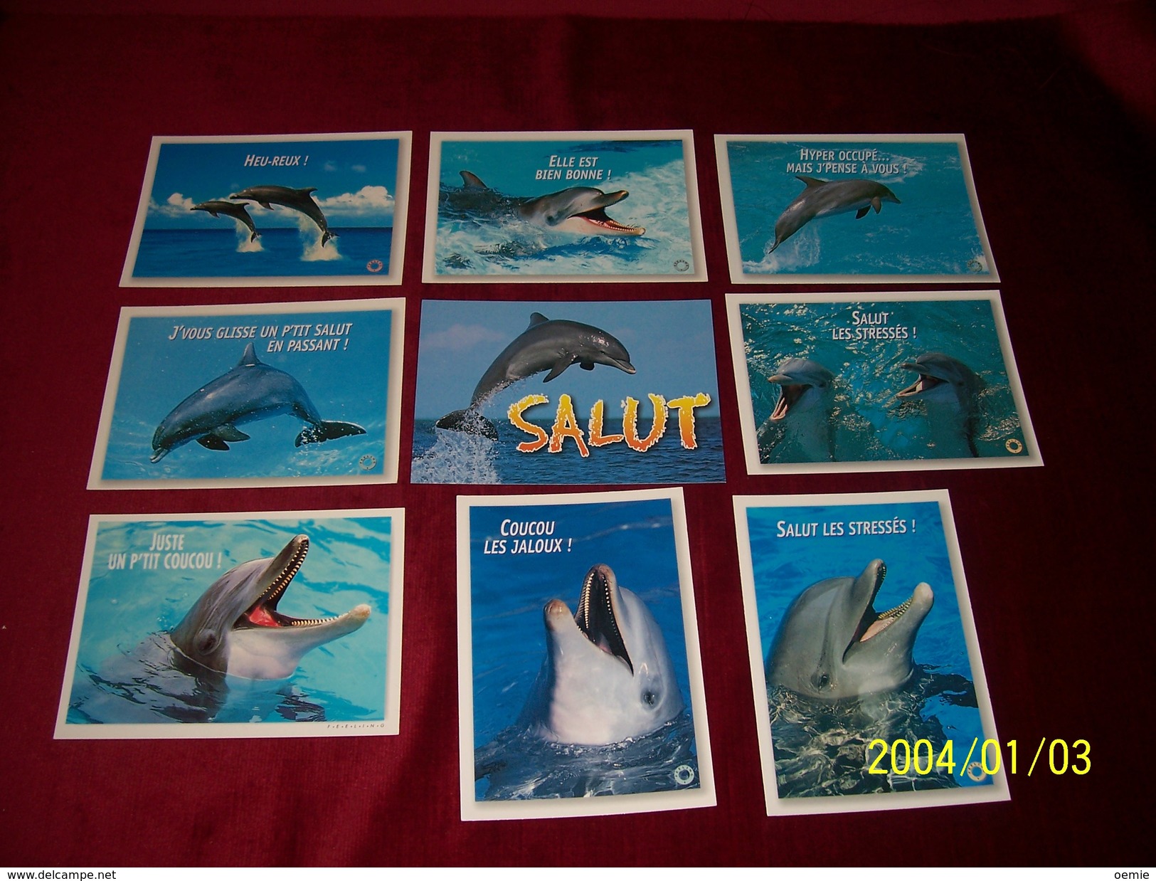 LOT 9 CARTES DE  POSTALES   ° THEME   DES  DAUPHINS - Dauphins