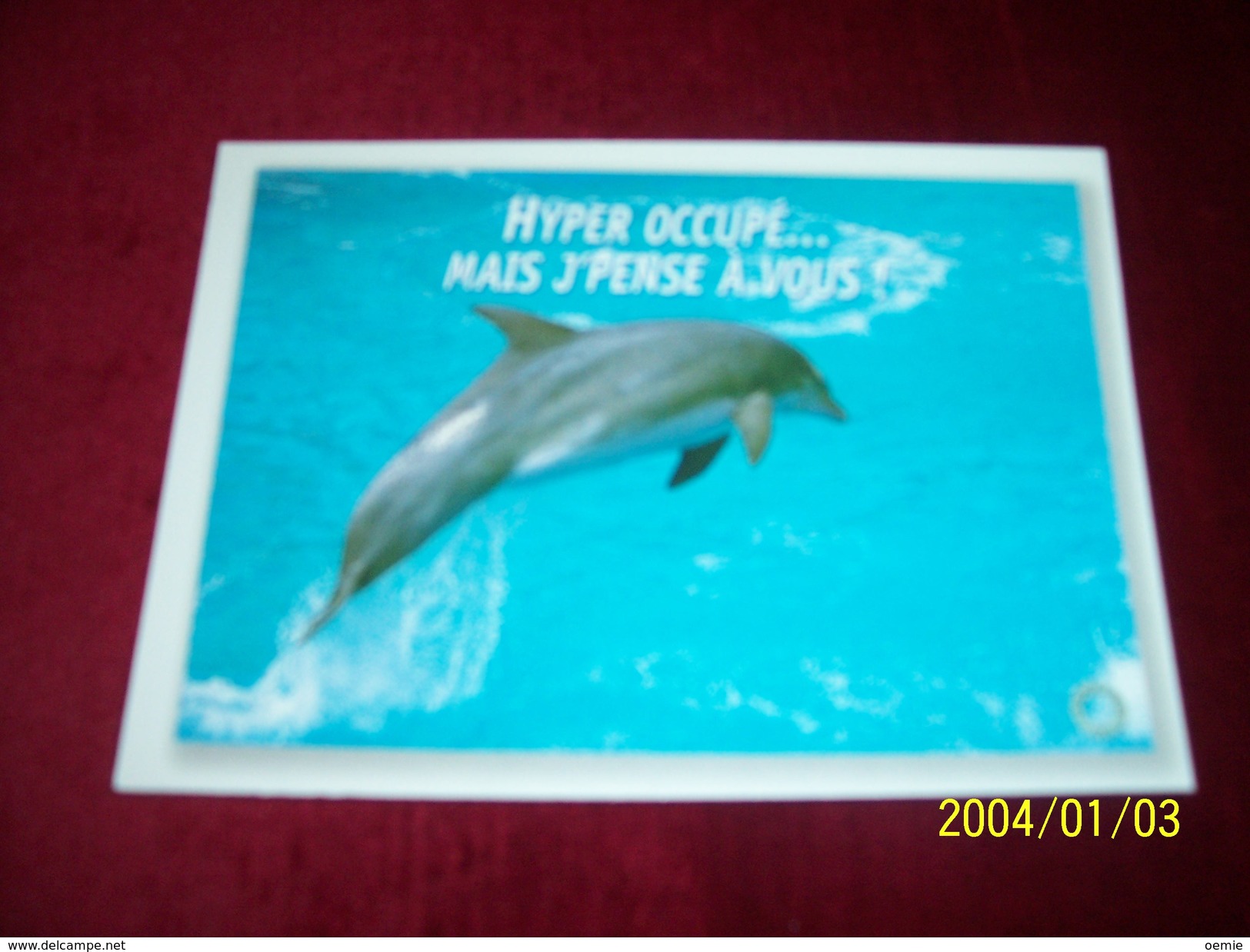 LOT 9 CARTES DE  POSTALES   ° THEME   DES  DAUPHINS - Dauphins