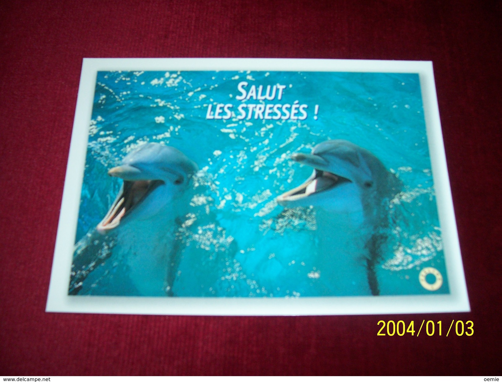 LOT 9 CARTES DE  POSTALES   ° THEME   DES  DAUPHINS - Dauphins