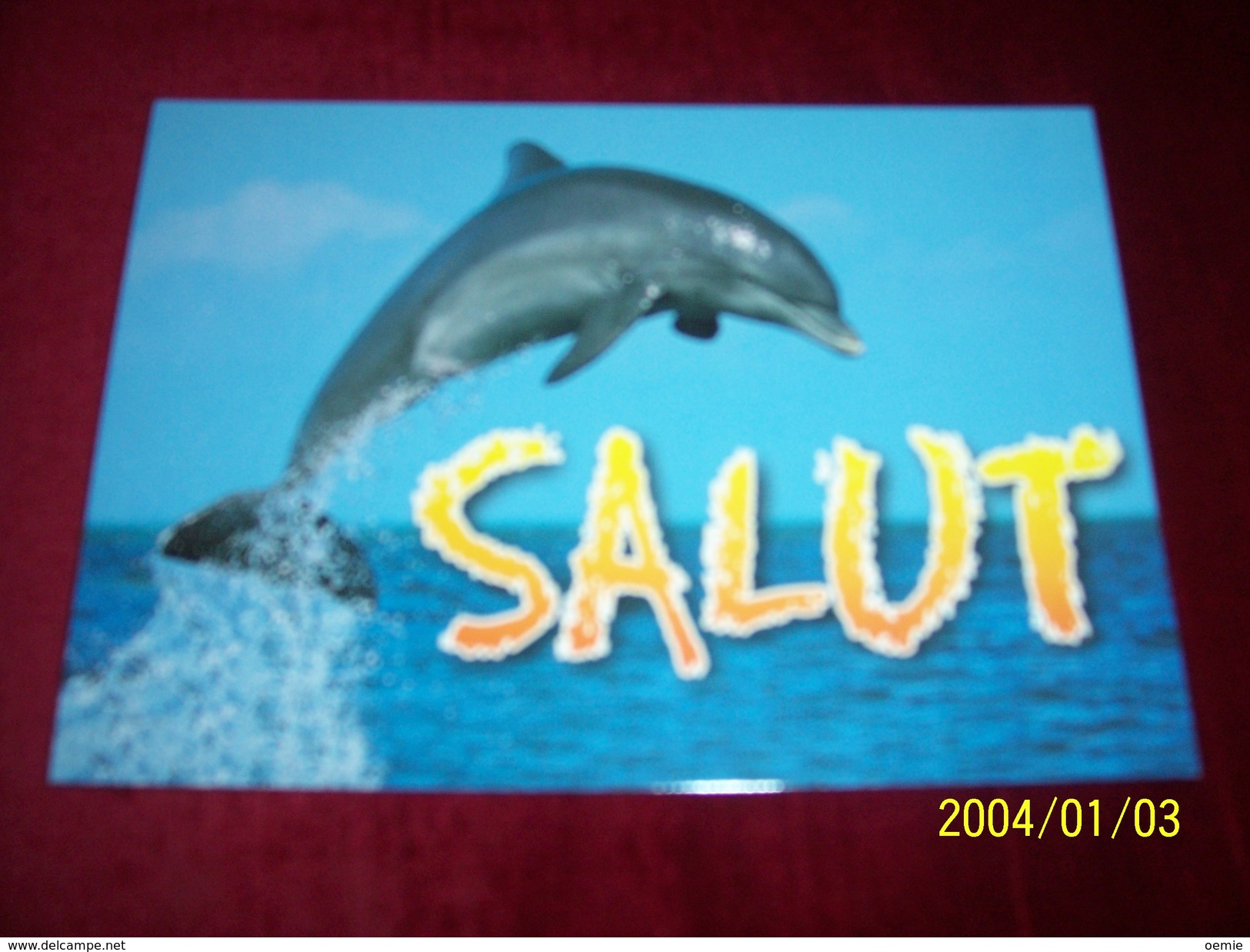 LOT 9 CARTES DE  POSTALES   ° THEME   DES  DAUPHINS