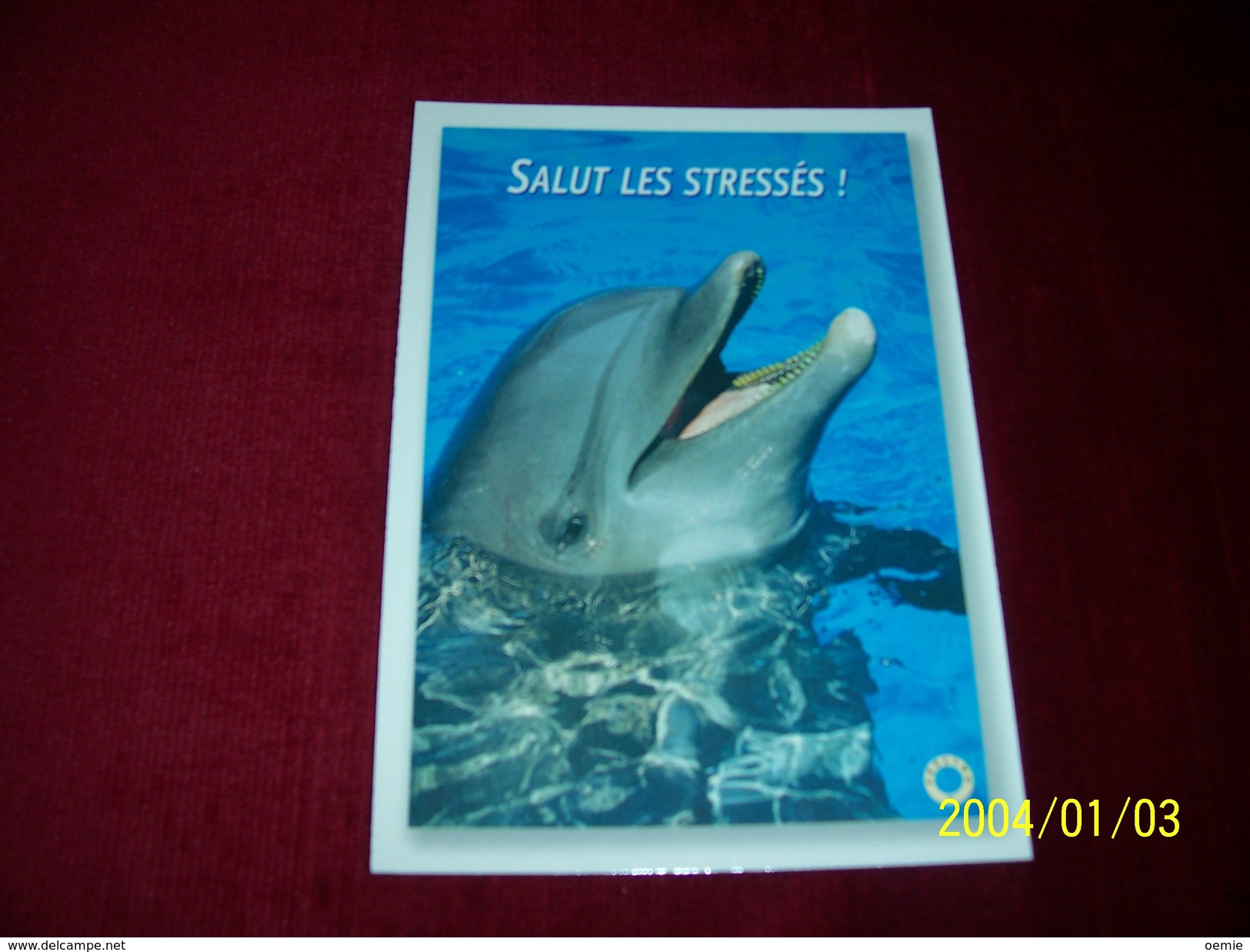 LOT 3 CARTES DE  POSTALES   ° THEME   DES  DAUPHINS - Dauphins