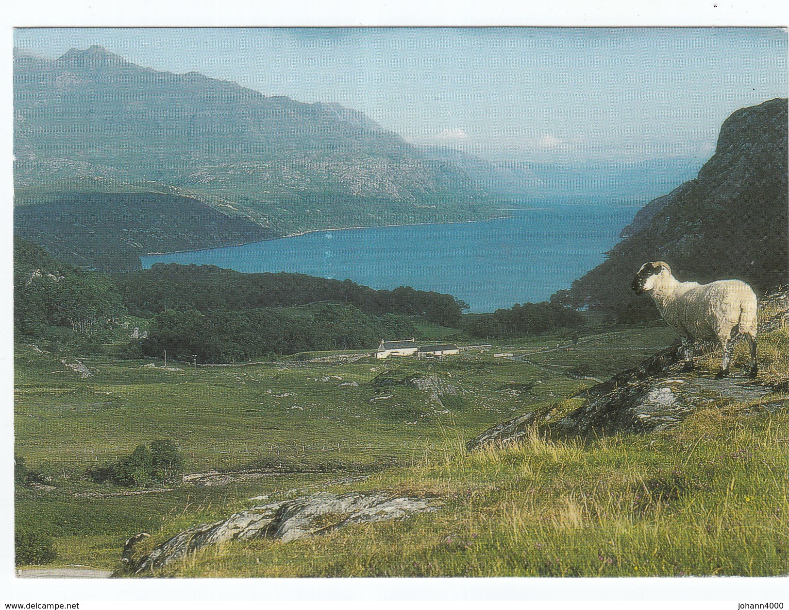 Irland Loch Maree From Tollie - Sonstige & Ohne Zuordnung