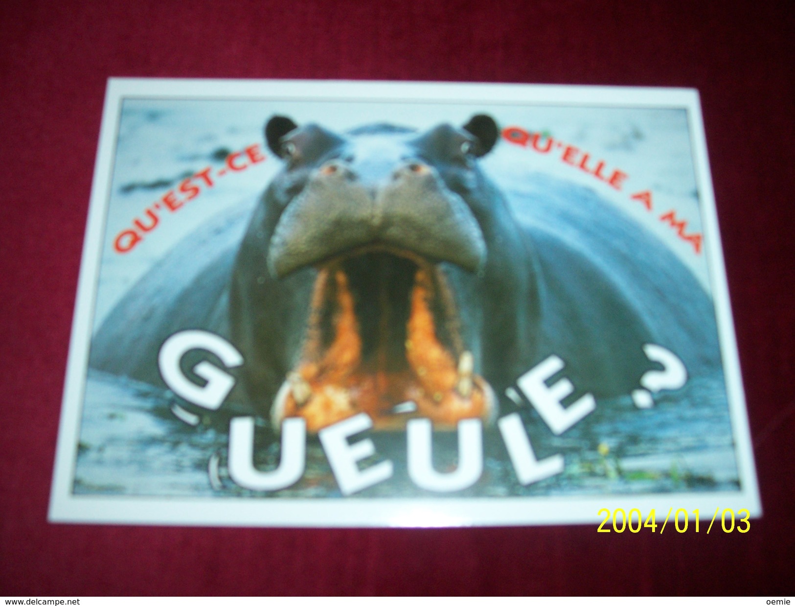 LOT 3 CARTES DE  POSTALES   ° THEME   DES  HIPPOPOTAMES - Hippopotamuses