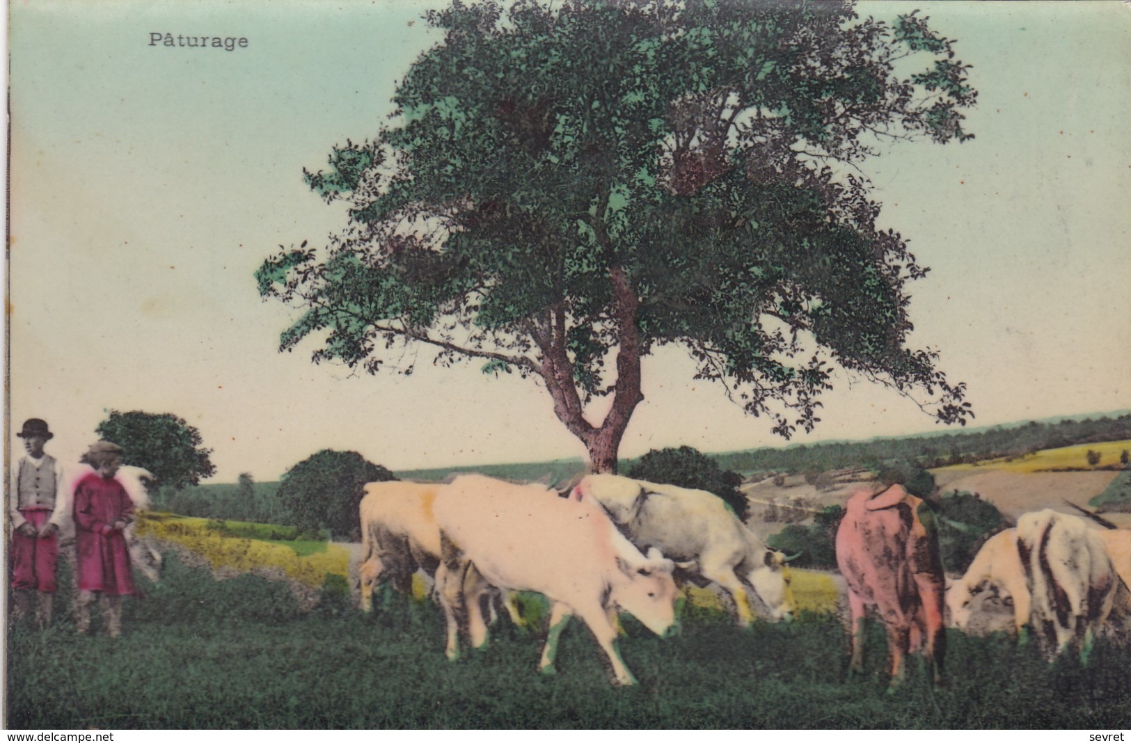 Pâturage. - Vaches Et Leurs Gardiens - Allevamenti