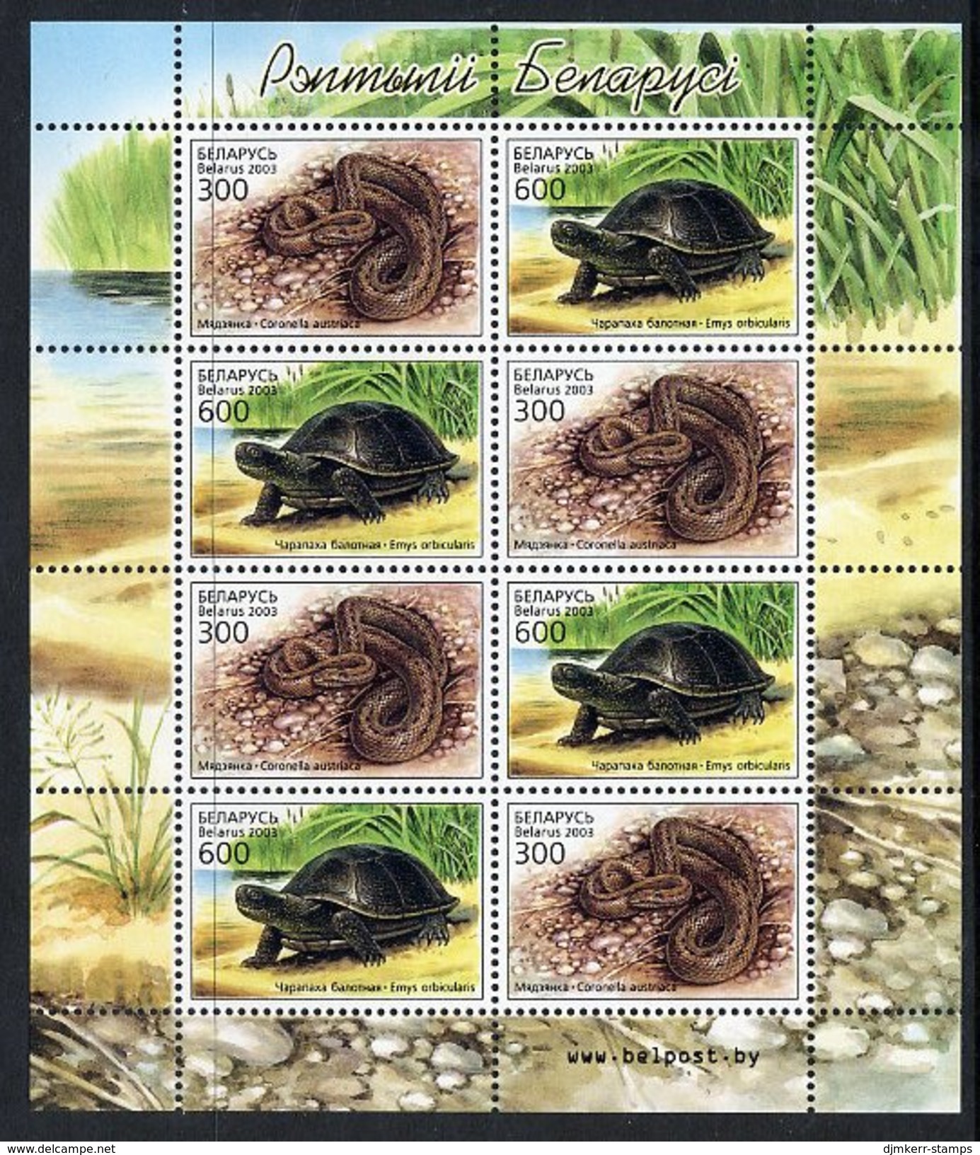 BELARUS 2003 Reptiles Sheetlet MNH / **.  Michel 481-82 Kb - Belarus